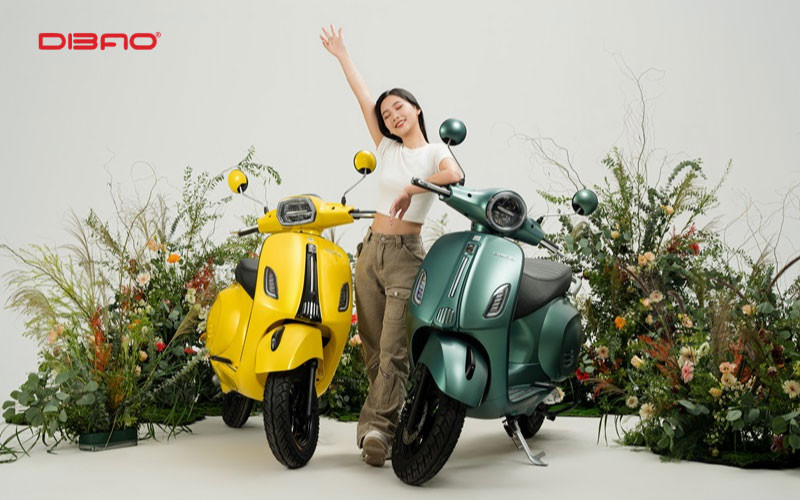 dibao là hãng xe của nước nào